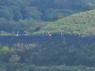 album_photo