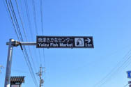 album_photo