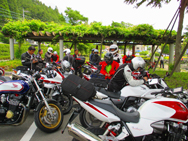album_photo