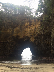 album_photo